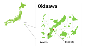 Okinawa map