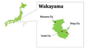 wakayama map