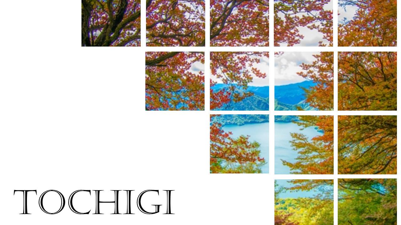 tochigi top image