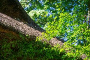 ささやかな風景に目を留め、そこにある物語に心を馳せる。