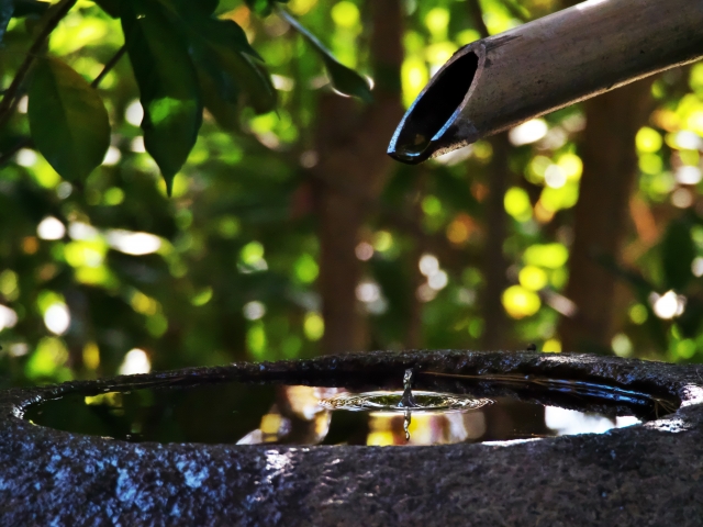 移ろい続ける自然の中で、ものの見方はかたちづくられていく。By stripping away excess, the true nature of the object comes into view.