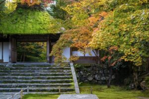 「寂び」とは、時を経ることで生まれる綻びに美を見出す完成である。