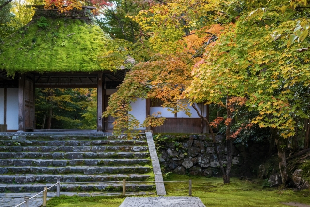 古びることは失われることではなく、時間が積み重なった証である。Aging is not loss, but the quiet accumulation of time.