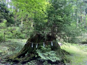 万物に宿る、目に見えない力。日本人はそれを『神』と呼んできた。