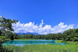エメラルドグリーン、コバルトブルー、ターコイズブルー...多様な色を見せる五色沼は、「神秘の湖沼」とも呼ばれる。