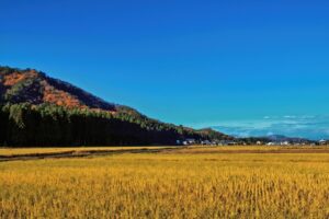 It is not only humans who are special — all things exist in connection with one another.