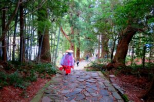 熊野古道・大門坂。苔むした石段と杉並木が続く、熊野詣の歴史を感じる参道。