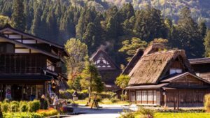 白川郷。茅葺き屋根の合掌造り家屋が残る歴史的な集落。
