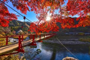 愛知県・香嵐渓。紅葉に包まれた吊り橋が渓谷を渡る。