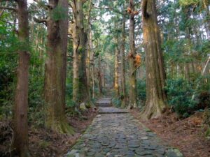 熊野古道。熊野三山へと続く、世界遺産に登録された歴史ある巡礼路。