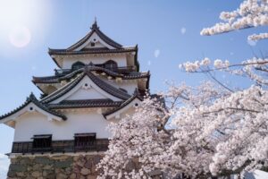 滋賀県彦根市にある彦根城は、江戸時代初期に築かれた現存12天守の一つで、国宝に指定されている。