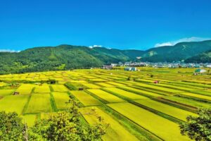 棚田と里山が広がる野沢温泉村の美しい風景