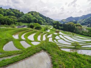 日本の棚田百選にも選出されている大山千枚田は、懐かしい里山の風景が見られる場所として人気だ