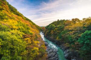 四季折々の美しい景色を楽しむことのできる「高津戸峡」