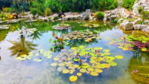 クロード・モネの庭を再現した美しい庭園。四季折々の花々が彩る癒しの空間。