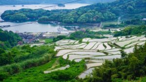 唐津市大浦の棚田。海を望む斜面に広がる美しい棚田が、四季折々の風景を映し出す。