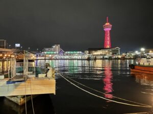 夜の博多港と博多ポートタワー──煌めく夜景に浮かぶ港町のシンボル。