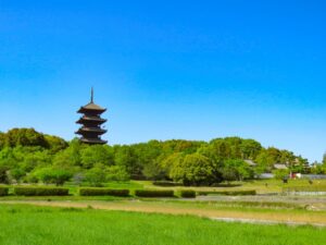 田園風景の中にそびえる備中国分寺の五重塔。岡山を代表する歴史的なランドマーク