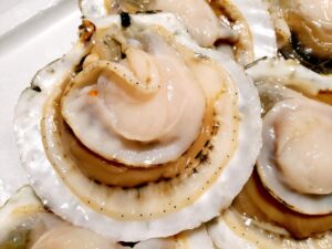 青森県の陸奥湾(むつわん)は、日本有数のホタテの産地として知られている