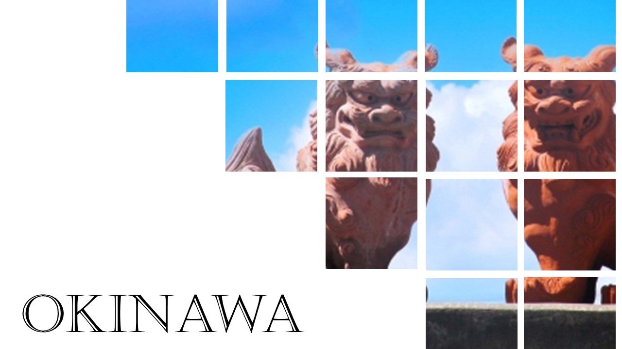 Okinawa Top