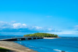 青島（宮崎県）──青い海に囲まれた、亜熱帯植物が生い茂る神秘的な小島。鬼の洗濯板と呼ばれる奇岩群と、青島神社が魅力。