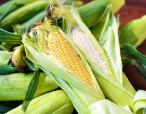 とうもろこし