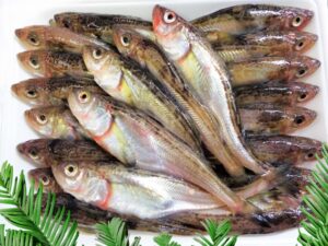 ハタハタは、秋田では欠かせない魚だ。