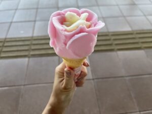 花びらのような形が、見た目にも楽しい「ババヘラアイス」